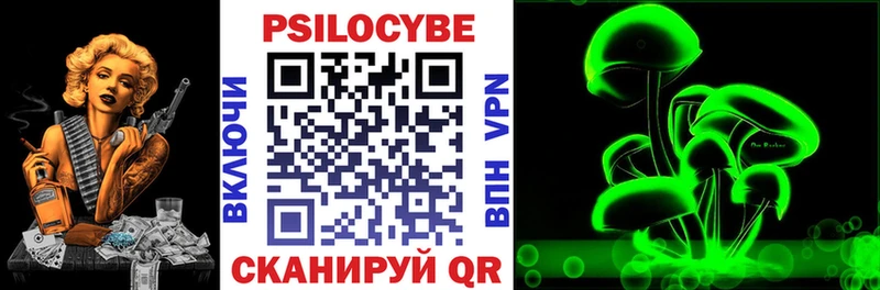 Псилоцибиновые грибы Cubensis  Ардатов 
